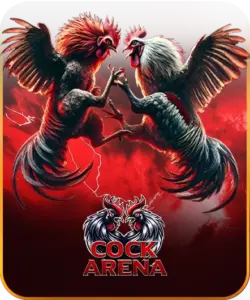 COCK Arena แพลตฟอร์มเดิมพันกีฬาออนไลน์ที่เน้นความสนุกและการต่อสู้ระหว่างทีม