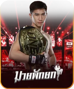มวยพักยก แพลตฟอร์มเดิมพันกีฬาที่นิยมในประเทศไทย
